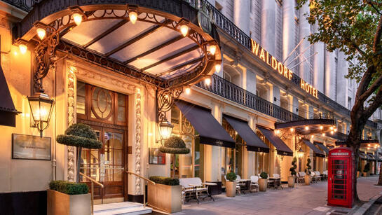 The Waldorf Hilton